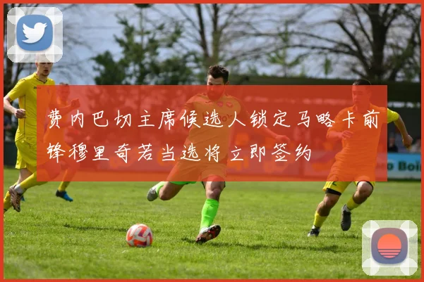费内巴切主席候选人锁定马略卡前锋穆里奇若当选将立即签约